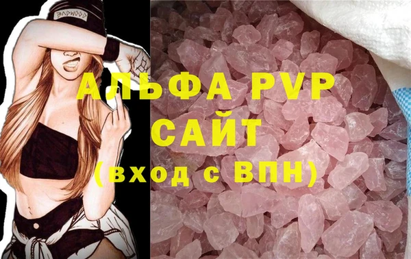 стафф Арсеньев