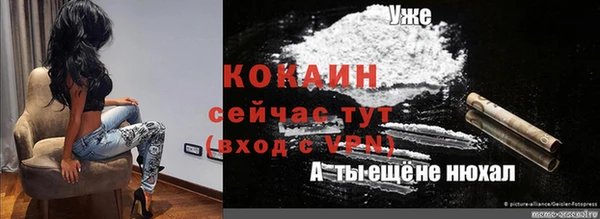 стафф Арсеньев