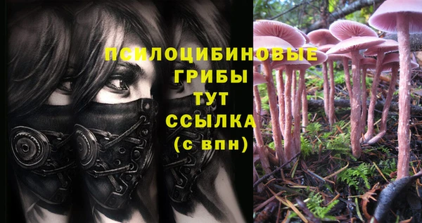 экстази Армянск