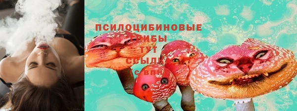 apvp Аркадак