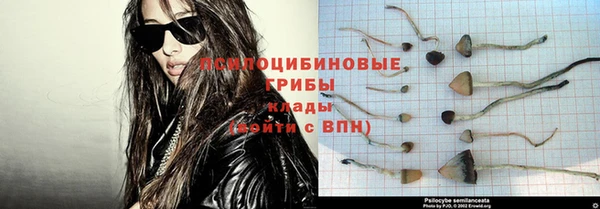 ECSTASY Строитель